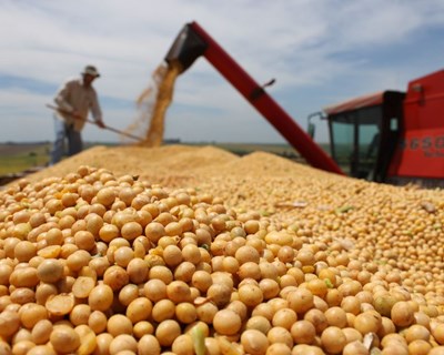 China cancela compra de 285 mil toneladas de soja dos EUA