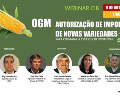 CiB promove webinar sobre autorizações de novas variedades GM
