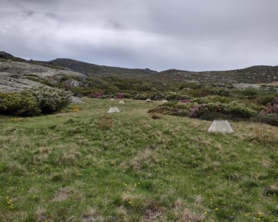 Cientistas da Universidade de Coimbra estudam o efeito do aquecimento global na Serra da Estrela