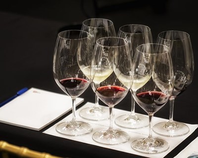 Cinco regiões vinícolas da Região Centro criam “cluster” para valorizar enoturismo