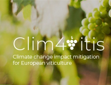 Clim4Vitis Days abordam em Vila Real impactos da alterações climáticas na viticultura
