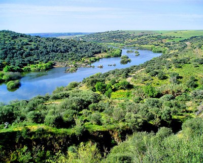 Clima, seca e agricultura intensiva põe em risco rios da Península Ibérica