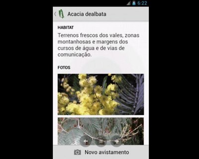 Coimbra: cidadãos convidados a mapearem plantas invasoras