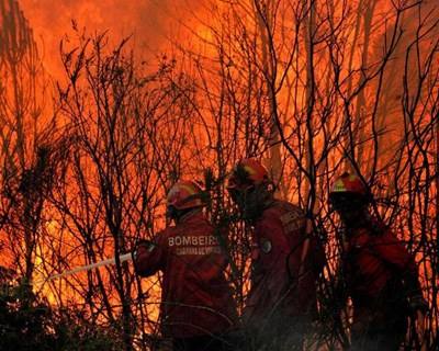 Coimbra: ESAC promove formação avançada na prevenção e combate a incêndios