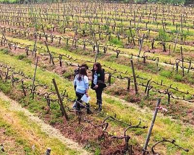 Coimbra recebe em abril competição agrícola