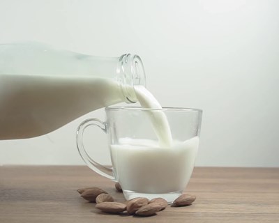 Colóquio nacional do leite acontece em novembro