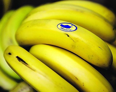 Comércio de banana cai 18 por cento na Madeira