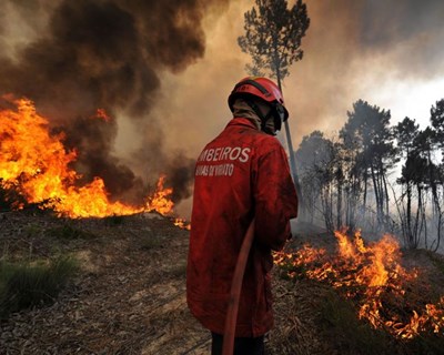 Comissão Europeia afirma que a natureza da Europa está sob ameaça devido ao pior ano já registado de incêndios florestais
