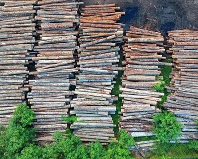 Comissão Europeia lança plataforma de cooperação global para combate a desflorestação
