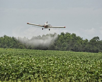 Comissão Europeia proíbe o uso de pesticida clorpirifós