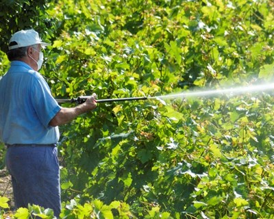 Comissário da Agricultura espera renovar autorização de glifosato por 10 anos