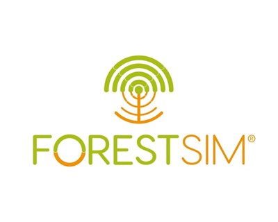 Conheça a ForestSIM®, a plataforma de apoio à certificação florestal