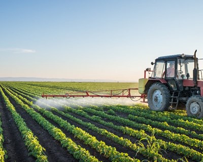 Conheça as estatísticas do setor agrícola nacional