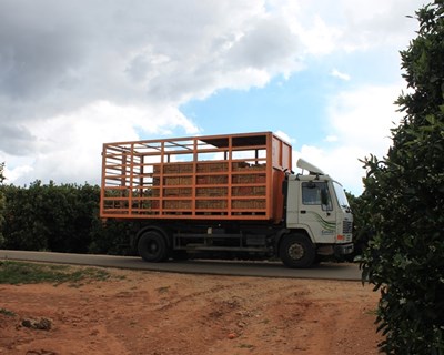 Conhece o programa “Fruit Juice Matters”?