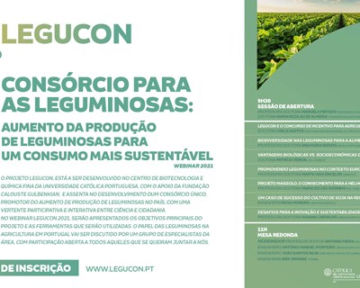 Consórcio para as Leguminosas: aumento da produção de leguminosas para um consumo mais sustentável