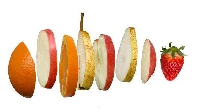 “Conversas sobre a Fruta” em Santarém