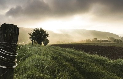 Copa-Cogeca: agenda da ONU é incentivo para um setor agrícola europeu sustentável
