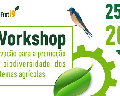 COTHN promove workshop sobre inovação para a promoção da biodiversidade dos sistemas agrícolas