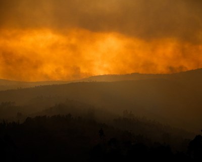 Crédito Agrícola abre conta de apoio às vítimas dos fogos florestais do Centro do País