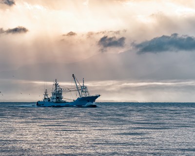 Criado regime excecional e temporário de compensação para profissionais da pesca