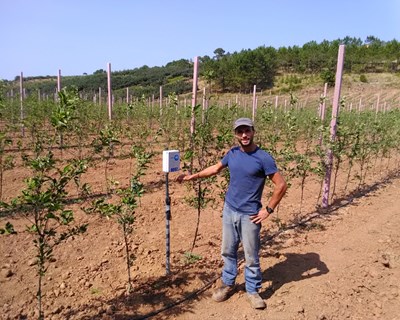 Cristovão Ferreira conquista Prémio de Melhor Jovem Agricultor