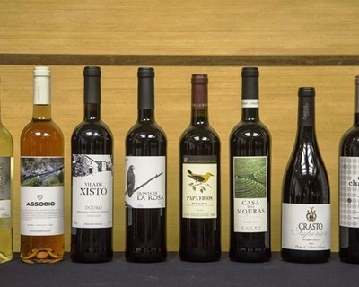 Curitiba recebeu grande prova de vinhos do Porto e do Douro