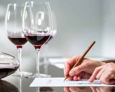 Dão: Comissão Vitivinícola apoia curso de vinhos