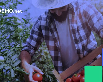 DEMO.net - uma rede de partilha, demonstração e inovação para o setor agroalimentar nacional