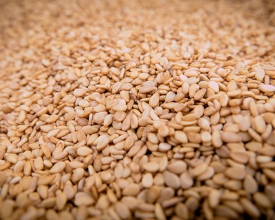 DGAV alerta para óxido de etileno em lotes de sementes de sésamo da Índia