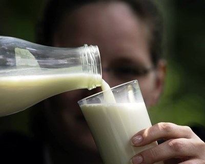 DGAV publica esclarecimento relativo à rotulagem da origem do leite