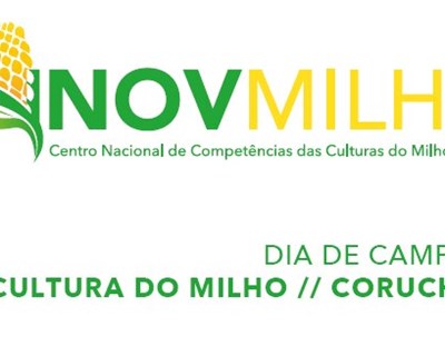 Dia de Campo InovMilho mostra inovação na cultura do milho (programa atualizado)