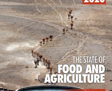 Disponível relatório da FAO "O Estado da Alimentação e da Agricultura"