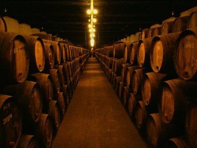 Douro produziu 290 mil pipas de vinho na vindima de 2015