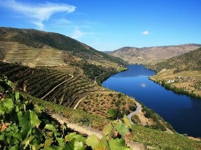 Douro recebeu nos últimos 15 anos milhões de euros em investimento