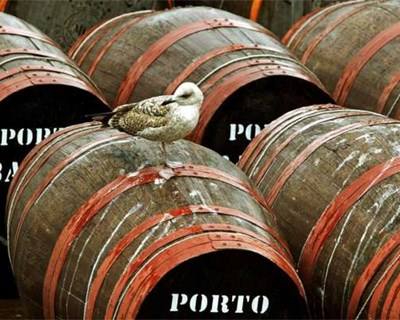 Douro vai transformar 114.900 pipas de vinho do Porto em 2016