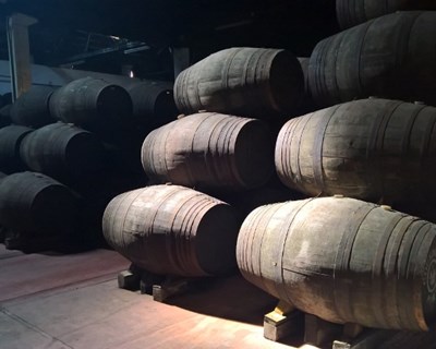 Douro vai transformar 118 mil pipas de vinho do Porto em 2017