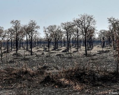 DRAP Algarve faz avaliação no terreno ao incêndio de Castro Marim