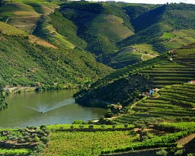 Durante 11 dias o vinho do Porto celebra a região do Douro