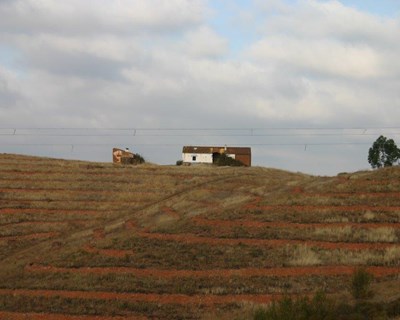 Eletricidade vai chegar a mais 25 casas e explorações agrícolas isoladas de Serpa