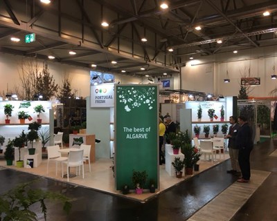 Empresas portuguesas na maior feira de flores e plantas do mundo