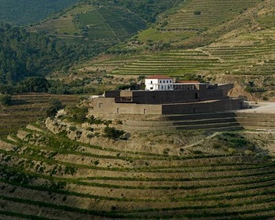 Enoturismo da Niepoort é um palco privilegiado para a promoção de vinhos portugueses no mundo