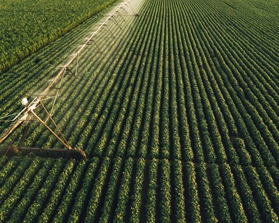 Entrevista às professoras Susana Carvalho e Ruth Pereira "Qualquer produtor que queira permanecer no mercado terá de ir ao encontro das exigências atuais de sustentabilidade ambiental"