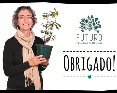 Escola Superior de Biotecnologia partilha projetos de investigação sobre o Ambiente