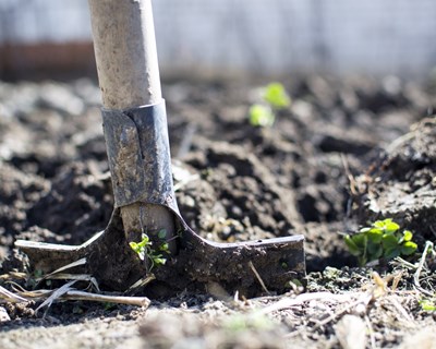 Espanha: Grande maioria da população apresenta desconhecimento sobre a Agricultura