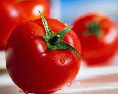Espanha: projeto permite aumentar produtividade do tomate em estufa