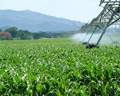 Estados-membros devem utilizar pesticidas de forma mais sustentável