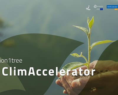 Estas 7 startups estão a moldar uma nova normalidade positiva para o clima