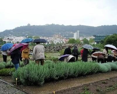 Estoril é palco de debate do I Colóquio Nacional de Horticultura Social e Terapêutica