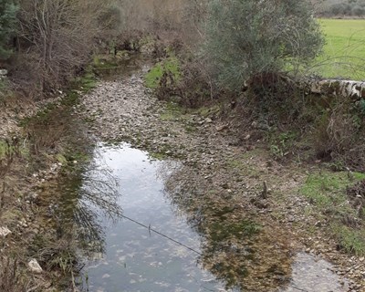 Estudo da Universidade de Coimbra identifica variáveis que controlam efeitos da seca nos ribeiros