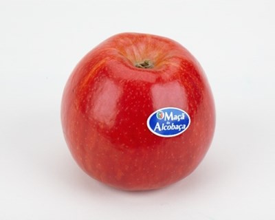 Estudo propõe nova segmentação de mercado para a maçã de Alcobaça